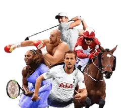 jljl55 sports betting platform with live odds and gaming features